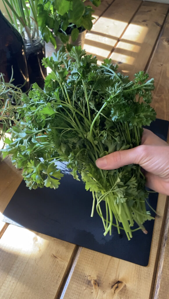 Two bunches of fresh parsley.