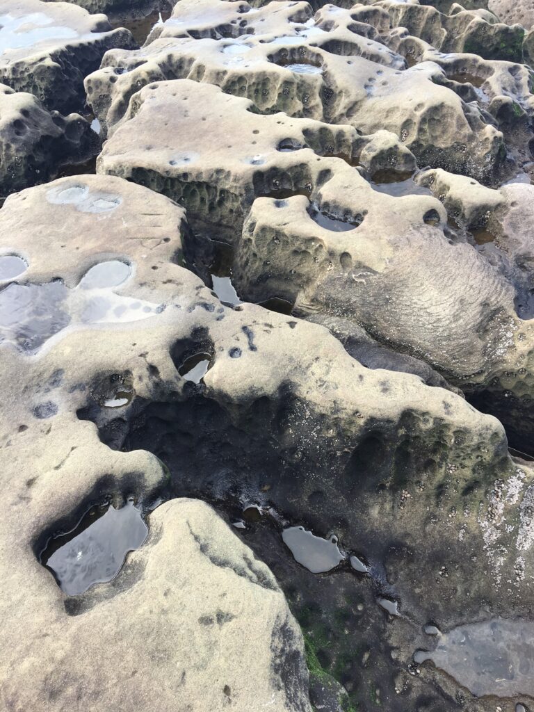 Small Tide pools on the rock at La Jolla Beach