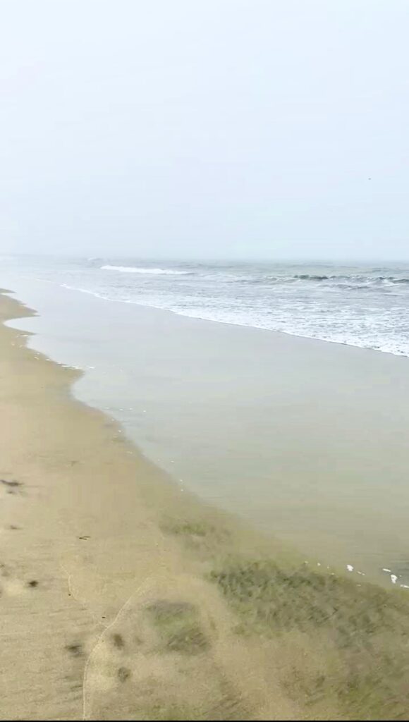 Coronado Beach on a foggy day