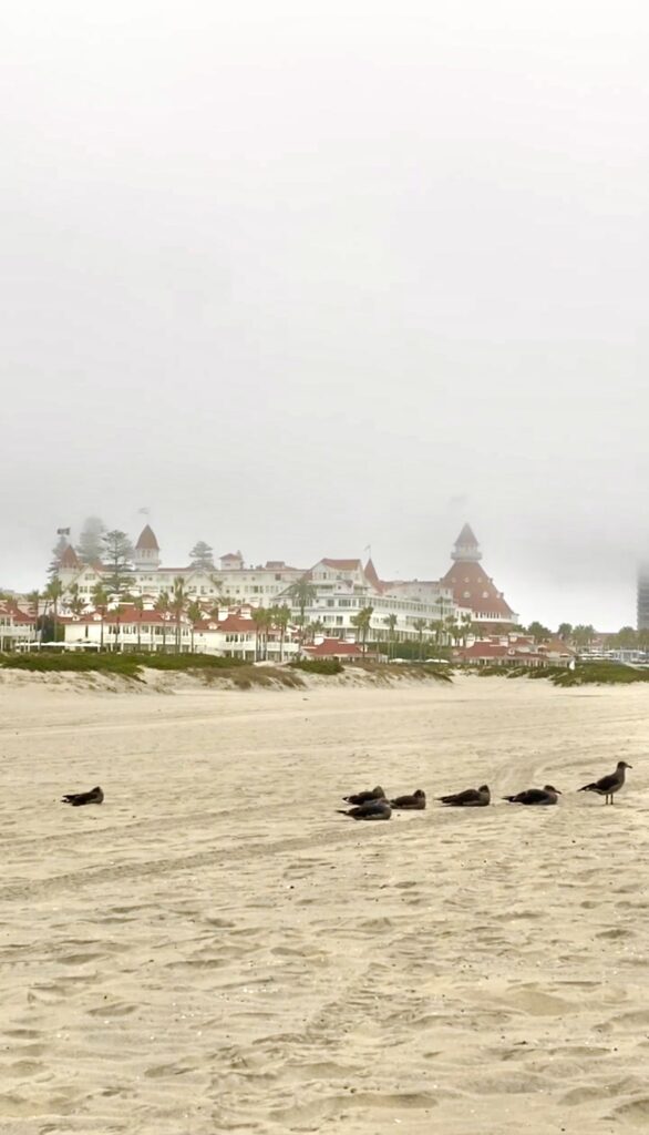 Coronado hotel on a foggy day.