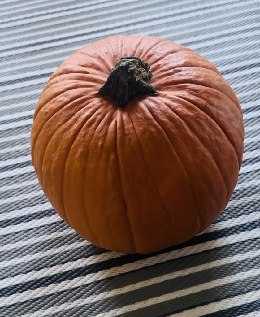 Carving Pumpkin waiting to be carved