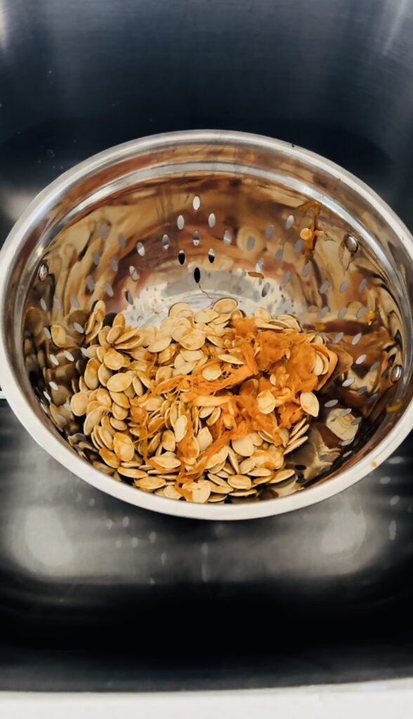 Fresh pumpkin seeds in a strainer waiting to be cleaned