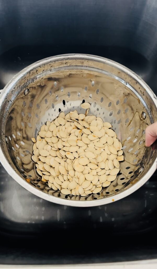 Fully cleaned pumpkin seeds in a strainer.